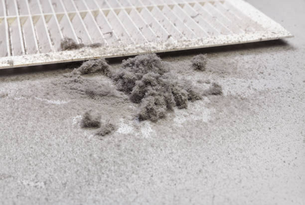 Best HVAC Duct Inspection Services  in Celoron, NY
